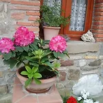 Podere Terrena