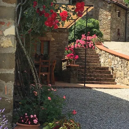 Podere Terrena San Vincenti