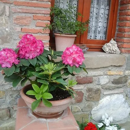 Podere Terrena